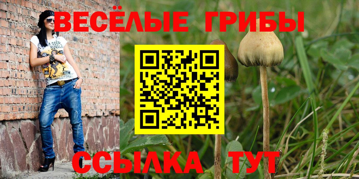 Галлюциногенные грибы мицелий  Псилоцибиновые грибы Magic Shrooms  Орехово-Зуево  Вход с VPN 