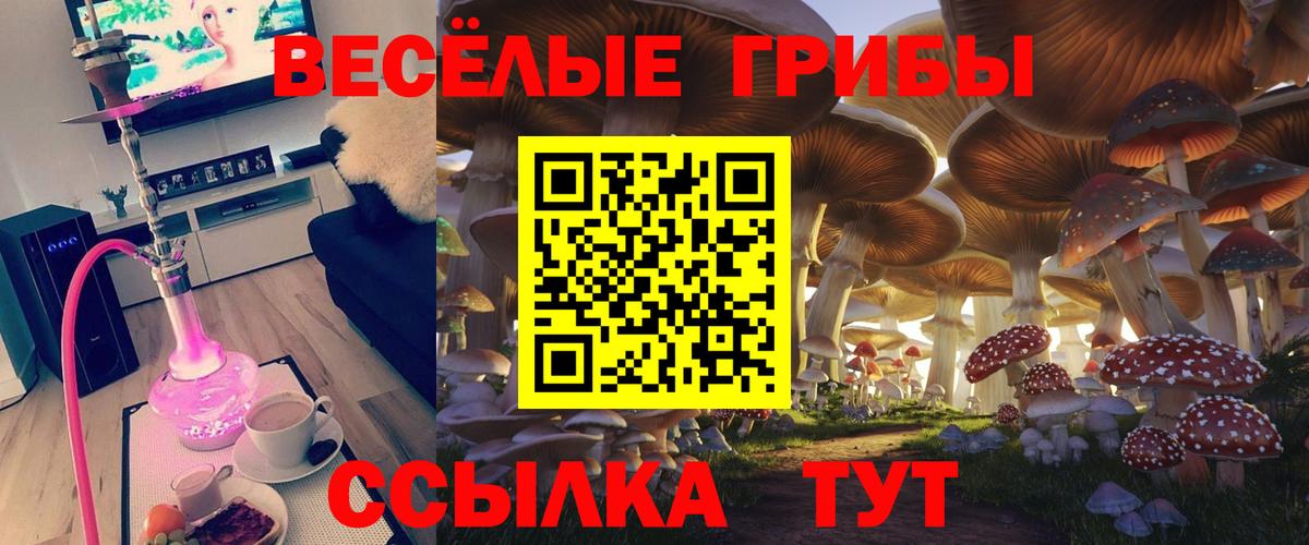 Псилоцибиновые грибы Psilocybine cubensis Орехово-Зуево